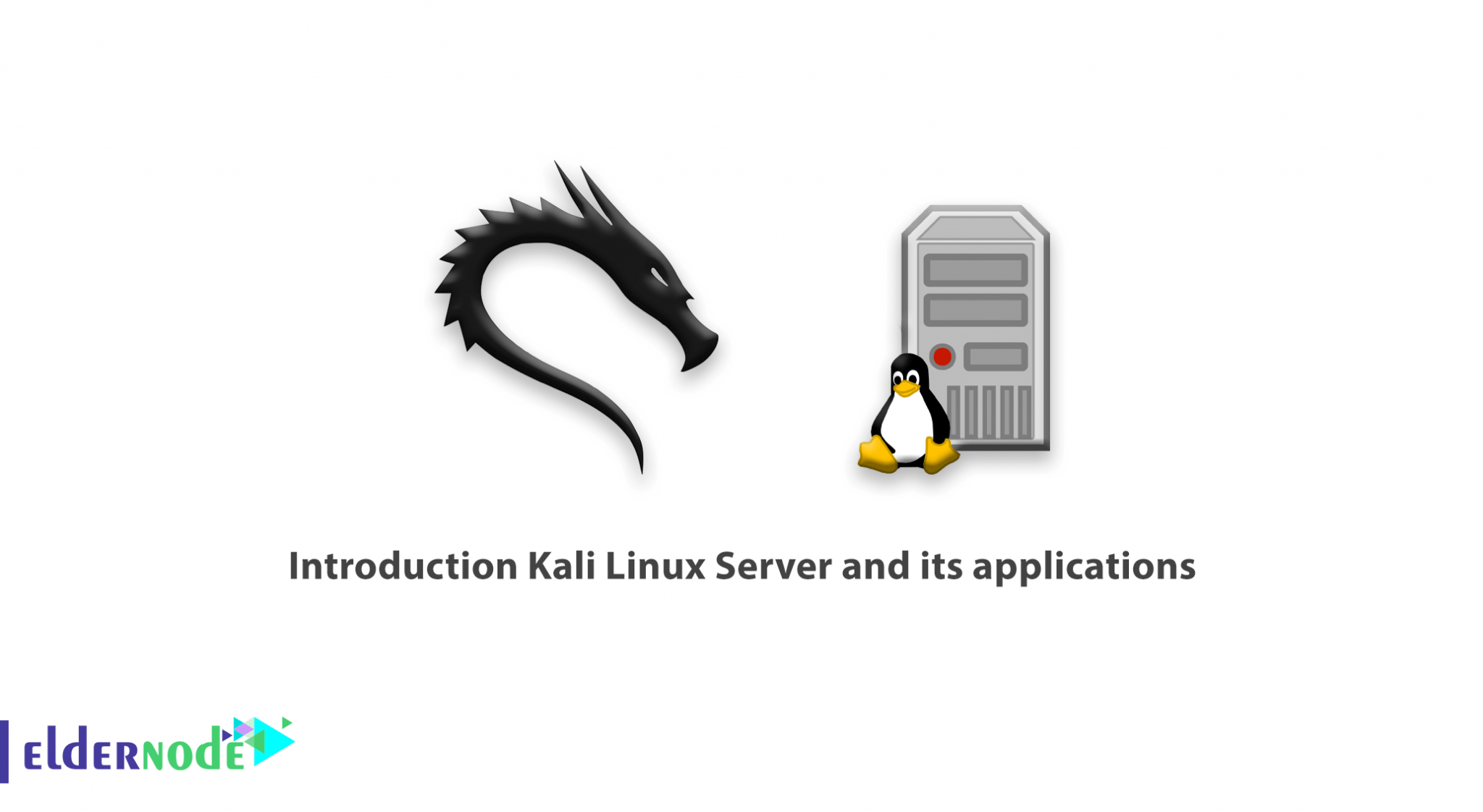 Introduction Kali Linux Server and its applications ElderNode Blog