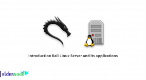 Introduction Kali Linux Server and its applications