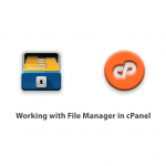 Working with File Manager in cPanel