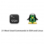 21 Most Used Commands in SSH and Linux
