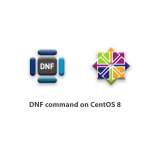 DNF command on CentOS 8