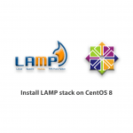 Install LAMP stack on CentOS 8