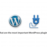 What are the most important WordPress plugins