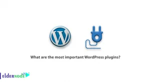 What are the most important WordPress plugins