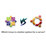 Which Linux is a better option for a server