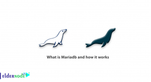 What is Mariadb and how it works