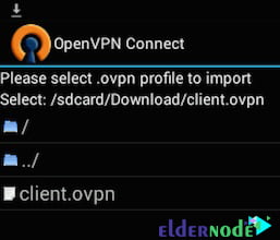 Import the OpenVPN profile