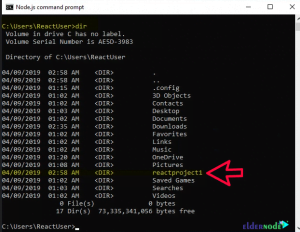 How to Install React JS on Windows