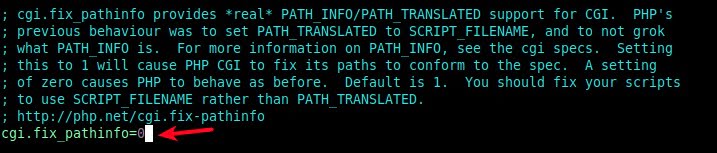 fix cgi path info on nginx