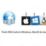 How To Flush DNS Cache in Windows, MacOS & Linux