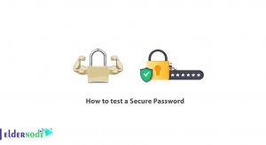 How to test a Secure Password