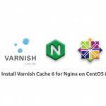 How to install Varnish Cache 6 for Nginx on CentOS 8