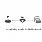 Introducing Man in the Middle Attack