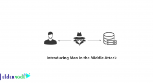 Introducing Man in the Middle Attack