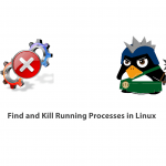 How to Find and Kill Running Processes in Linux