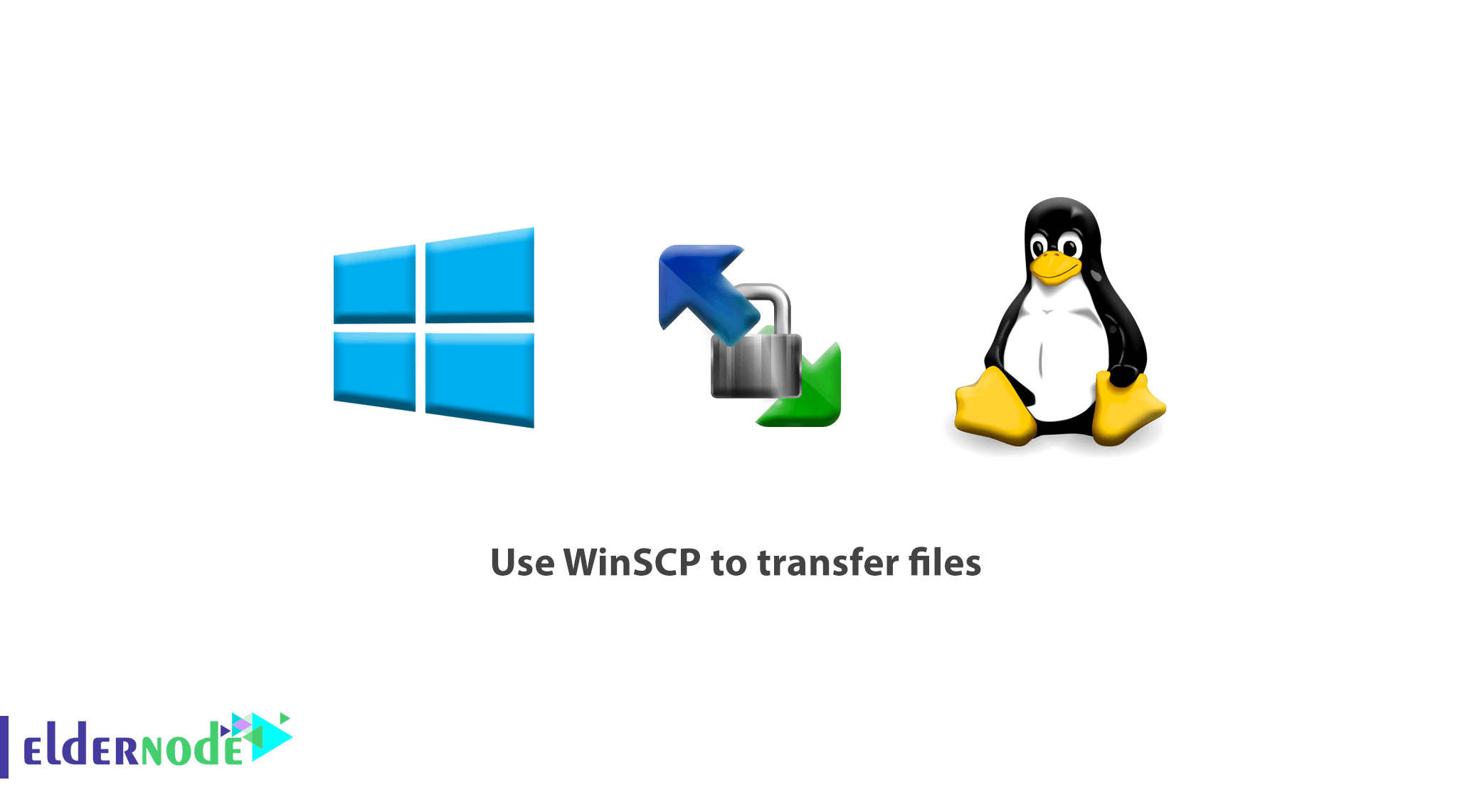 How to use WINSCP to transfer files