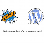 Websites crashed after wp update to 5.5