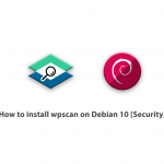 How to install wpscan on Debian 10 [Security]