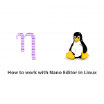 How to work with Nano Editor in Linux