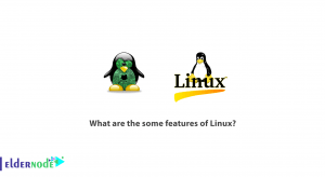 What are the some features of Linux