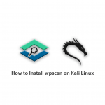How to Install wpscan on Kali Linux