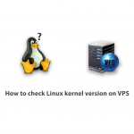 How to check Linux kernel version on VPS