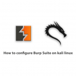 How to configure Burp Suite on kali linux