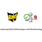 Introducing Raid (Advantages and Disadvantages)