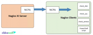 NCPA architecture