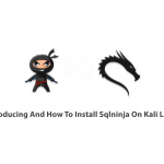 Introducing And How To Install Sqlninja On Kali Linux
