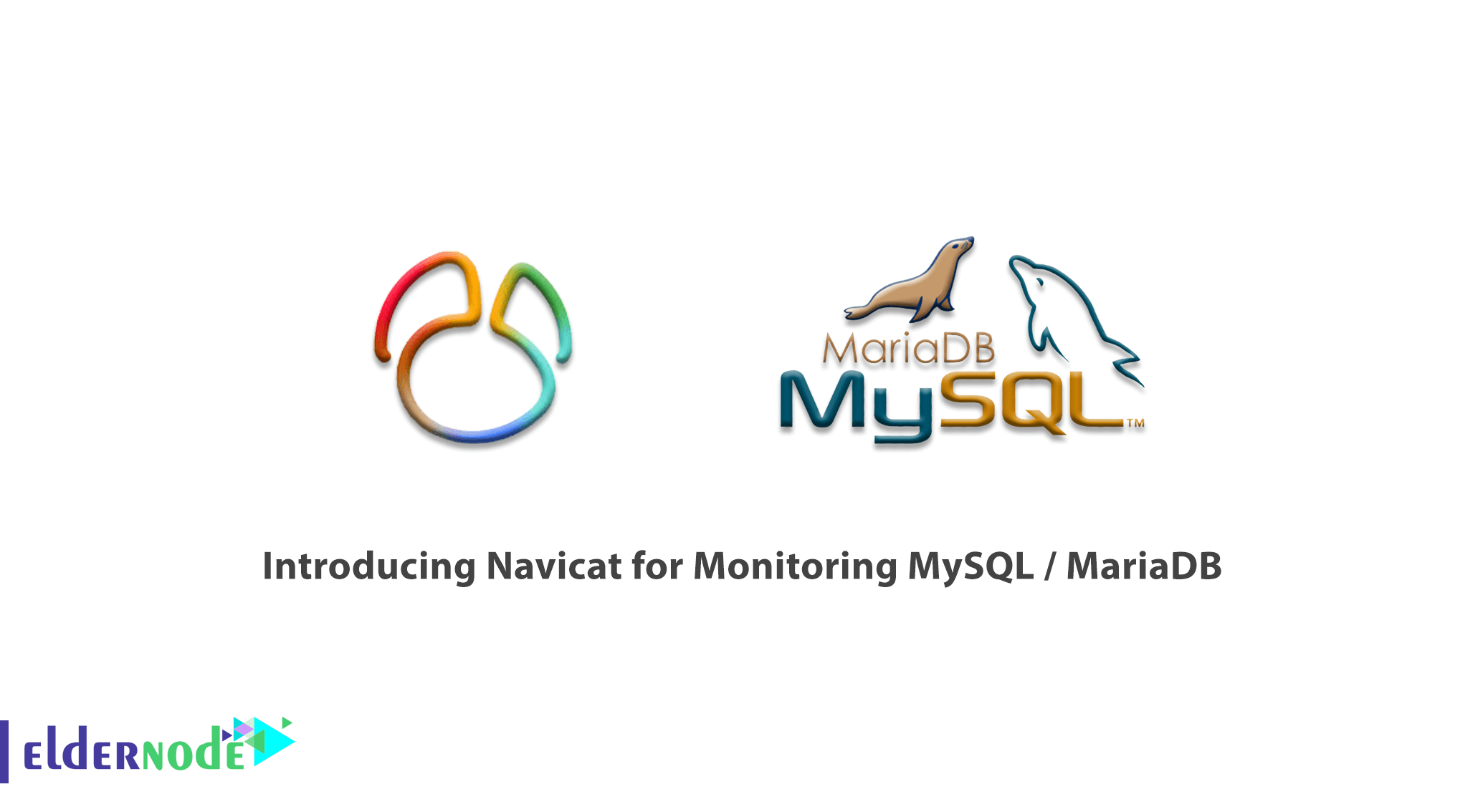 Introducing Navicat for Monitoring MySQL / MariaDB
