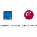 How To Install SeaweedFS Cluster On Debian 10