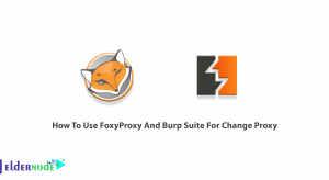 How To Use FoxyProxy And Burp Suite For Change Proxy