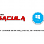 How to Install and Configure Bacula on Windows 10