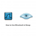 How to Use Wireshark in Nmap
