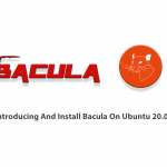Introducing And Install Bacula On Ubuntu 20.04