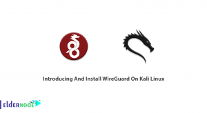 Introducing And Install WireGuard On Kali Linux