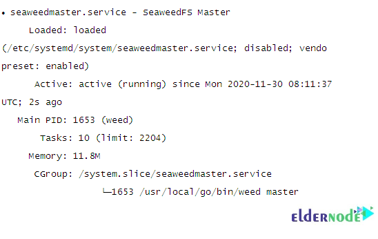 reload the daemon and start the master