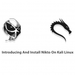 Introducing And Install Nikto On Kali Linux