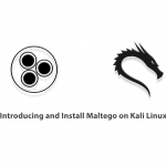 Introducing and Install Maltego on Kali Linux