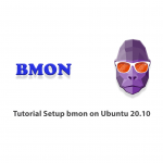 Tutorial Setup bmon on Ubuntu 20.10