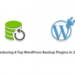 Introducing 8 Top WordPress Backup Plugins In 2021