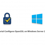 Tutorial Configure OpenSSL on Windows Server 2016