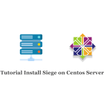 Tutorial Install Siege on Centos 7 and 8