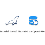 Tutorial Install MariaDB on OpenBSD 7
