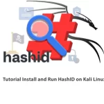 HashID on Kali Linux