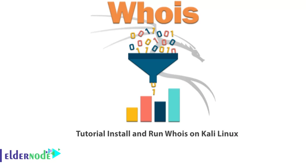 Understanding the Power of Whois Command in Kali Linux