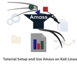 Tutorial-Setup-and-Use-Amass-on-Kali-Linux