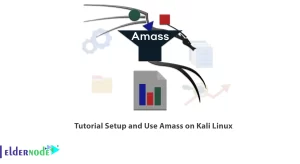 Tutorial-Setup-and-Use-Amass-on-Kali-Linux