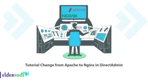 How to Seamlessly Change Apache to Nginx on DirectAdmin